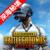 pubgmobile国际服