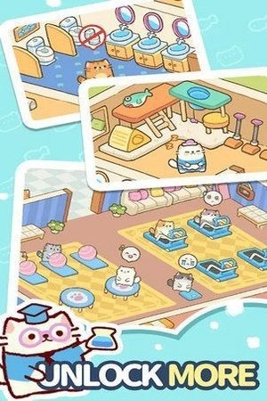 我的完美猫旅馆