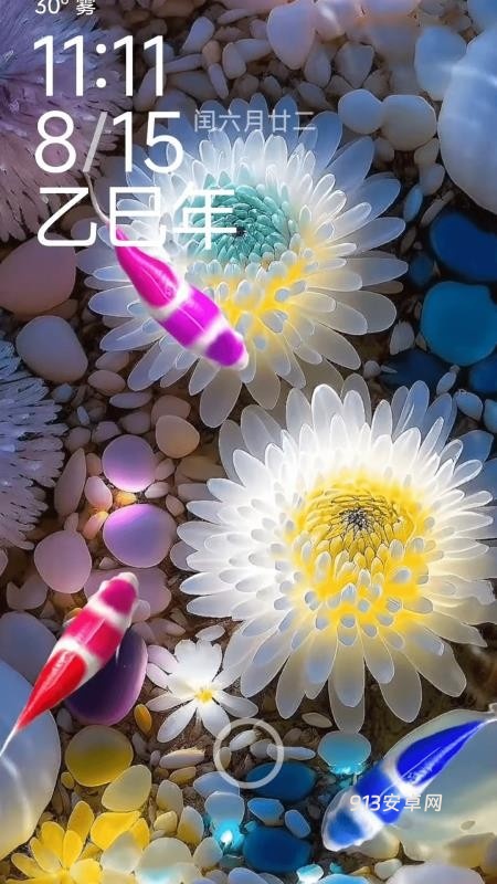 荷花锦鲤壁纸