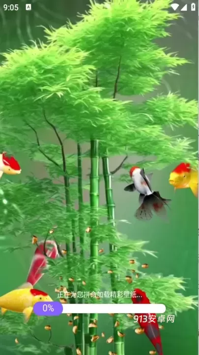 荷花锦鲤壁纸_https://www.913u.com_手机美化_第2张