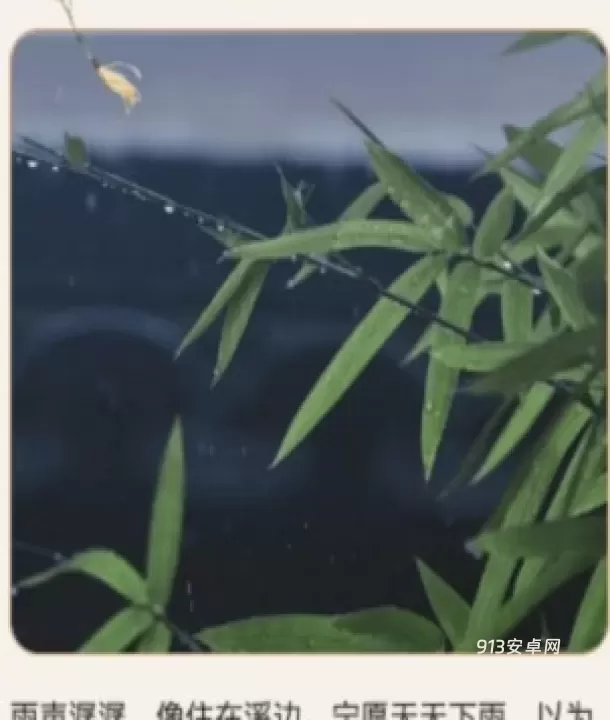 种草壁纸_https://www.913u.com_手机美化_第2张