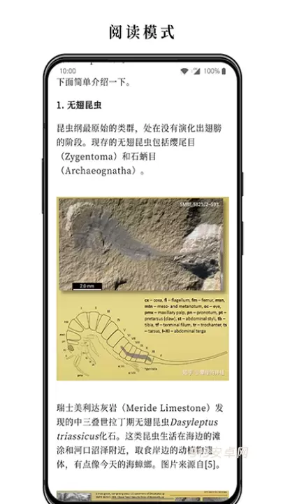 慢读小说_https://www.913u.com_新闻阅读_第3张