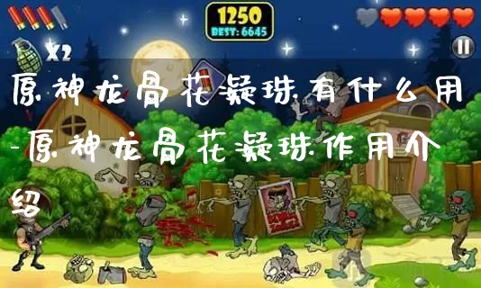 原神龙骨花凝珠有什么用-原神龙骨花凝珠作用介绍_https://www.913u.com_游戏攻略_第1张